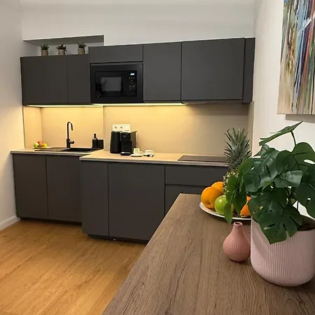 Apartment Moderni Korunni Prestige Blizko Centra *